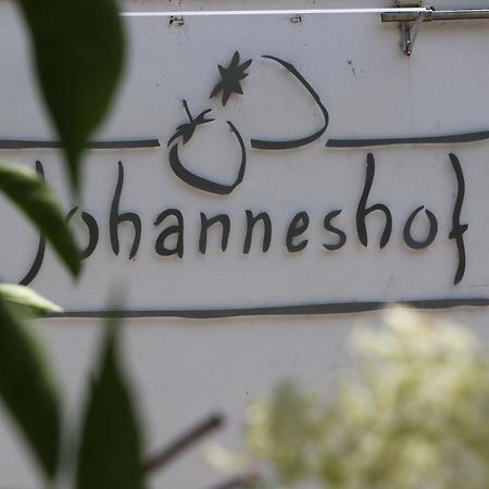 Johanneshof Gaestehaus Hockenheim Buitenkant foto